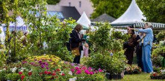 Menschen besuchen das Branitzer Gartenfestival. 