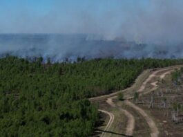 Woidke würdigt Feuerwehr-Einsatz gegen Waldbrand Seit Freitag brennt es auf einem ehemaligen Truppenübungsplatz bei Jüterbog.