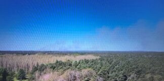 Rauchwolken steigen auf: Ein Waldbrand auf dem ehemaligen Truppenübungsplatz «Altes Lager» bei Jüterbog breitet sich aus. Die Feuerwehrleute können wegen der Munitionsbelastung aber nicht in das Gebiet.