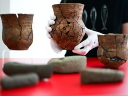 Archäologen machen «herausragende» Gräberfunde in Casekow Mehrere Grabbeigaben sind in Brandenburg gefunden worden.