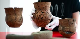Archäologen machen «herausragende» Gräberfunde in Casekow Mehrere Grabbeigaben sind in Brandenburg gefunden worden.