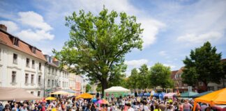 Ein Jahr nach dem Angriff: Demokratiefest als Zeichen Ein Jahr nach einem Angriff feiern zahlreiche Menschen ein Demokratiefest in Bad Freienwalde.