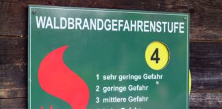 Mit dem Sommer kommt die Gefahr: Waldbrandrisiko steigt In den meisten Kreisen gilt aktuell die vierte Waldbrandwarnstufe. (Archivbild)