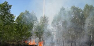 Laut Feuerwehr brennen auf dem ehemaligen Truppenübungsplatz vereinzelt noch Baumstümpfe.