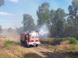 Hohe Waldbandgefahr – Feuerwehr bei Jüterbog im Einsatz Immer wieder muss die Feuerwehr wegen Waldbränden auf dem ehemaligen Truppenübungsplatz bei Jüterbog ausrücken. (Archivbild)