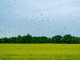 Erst Gewitter und Regen, dann bis zu 26 Grad Schauer und Gewitter klingen zum Ende der Woche hin ab. Dabei winken Temperaturen von bis zu 26 Grad. (Symbolbild)