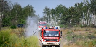 Hitze und Wind erschweren die Löscharbeiten in der Gohrischheide. 