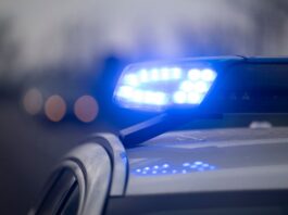 AfD-Abgeordneter von Frau auf E-Scooter mit Eiern beworfen Die Polizei ermittelt in Berlin nach einem Eierwurf auf einen AfD-Abgeordneten. (Symbolbild)
