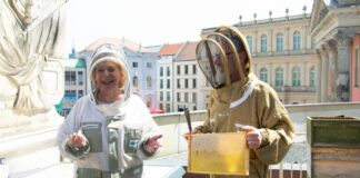 Erster Honig des Jahres von Brandenburger Parlamentsbienen Brandenburgs Landtagspräsidentin Ulrike Liedtke und der Chef des Landesverbandes Brandenburger Imker, Jochen Andrees, ernten den ersten Honig auf dem Dach des Parlaments.