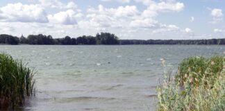 Mann fällt vom SUP-Board und ertrinkt im Wandlitzsee Am Wandlitzsee (Landkreis Barnim, Brandenburg) nördlich von Berlin ist ein 29-jähriger Mann ertrunken. (Archivbild)