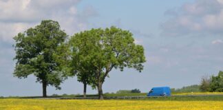 Juni startet mit sommerlichen Temperaturen Mit den sommerlichen Temperaturen sind aber auch Gewitter möglich: Von der Prignitz bis zum Fläming kann es in der Nacht zum Mittwoch zu einzelnen Gewittern mit Starkregen und Sturmböen kommen. (Archivbild)