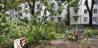 Gewitter sorgt für 160 Feuerwehreinsätze und Event-Ausfälle Ein Gewitter sorgte in Berlin für zahlreiche Einsätze der Feuerwehr.