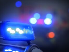 Festnahme nach versuchtem Tötungsdelikt in Hamburger Wald Die Polizei nahm den Tatverdächtigen am Bahnhof Frankfurt (Oder) fest. (Symbolbild)