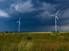 Hitze und Unwetter im Anmarsch Bei Temperaturen bis 35 Grad steigt am Wochenende in Berlin und Brandenburg nicht nur die Hitzebelastung – auch kräftige Gewitter sind möglich.