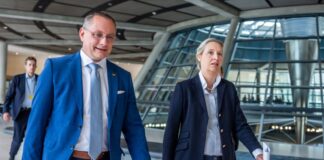AfD legt in Sachen Parteispende Berufung ein Die AfD will eine Entscheidung des Berliner Verwaltungsgerichts zu einer Parteispende nicht akzeptieren. (Archivbild)