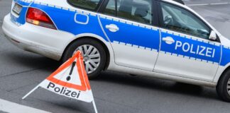 Suche nach Viehdieben – Polizei bittet um Hinweise Die Polizei ermittelt wegen schweren Diebstahls. (Symbolbild)