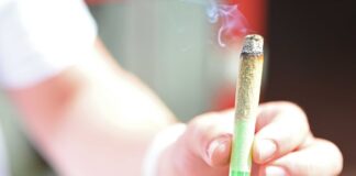 Nach dem Fund einer größeren Menge Cannabis erließ das Amtsgericht Dresden Haftbefehl gegen den Mann. (Symbolbild)