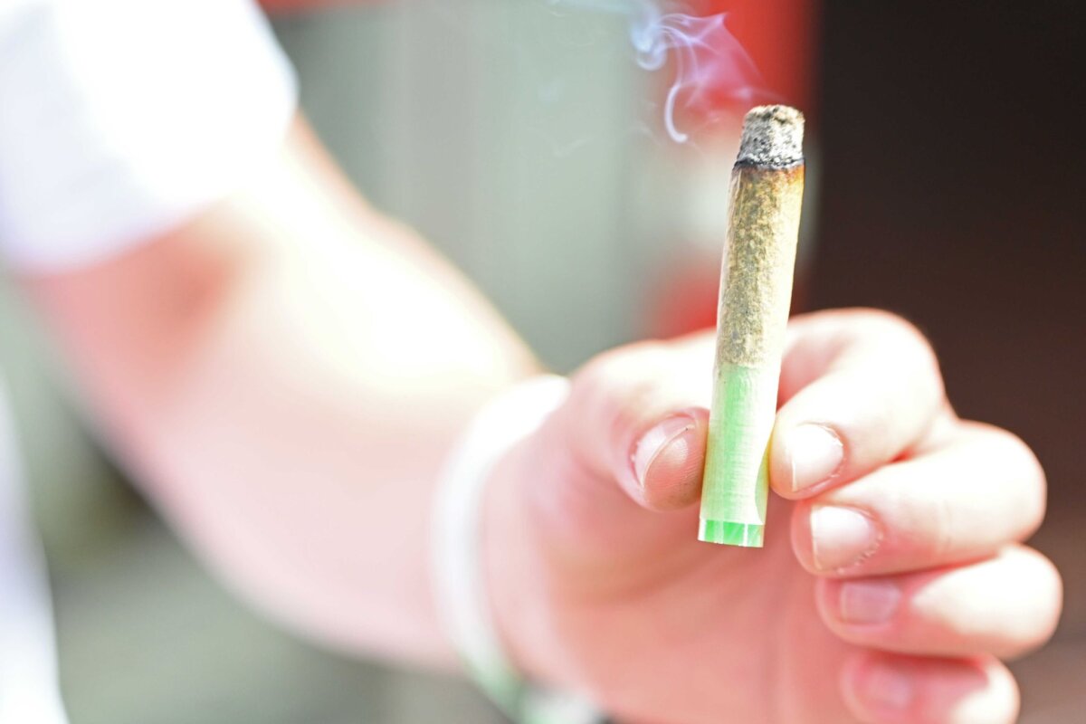 Cannabis Nach dem Fund einer größeren Menge Cannabis erließ das Amtsgericht Dresden Haftbefehl gegen den Mann. (Symbolbild)
