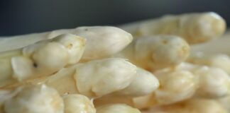 Weniger Spargel geerntet – Heidelbeer-Saison steht bevor In wenigen Tagen ist Schluss mit frischem Spargel aus Beelitz. (Symbolfoto)