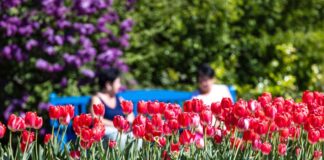 Sommer legt nach – Bis zu 35 Grad in Berlin und Brandenburg Der Montag bringt der Hauptstadtregion einen angenehmen Sommertag. (Illustration)