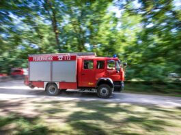 Feuerwehr kämpft bei Gluthitze gegen Waldbrand bei Werder Die Feuerwehr musste heute zu mehreren Waldbränden in Brandenburg ausrücken. (Symbolbild)