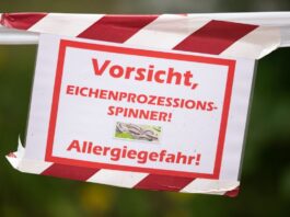 Eichenprozessionsspinner werden in Berlin zur Plage Ein Schild warnt vor dem Eichenprozessionsspinner. (Symbolbild)