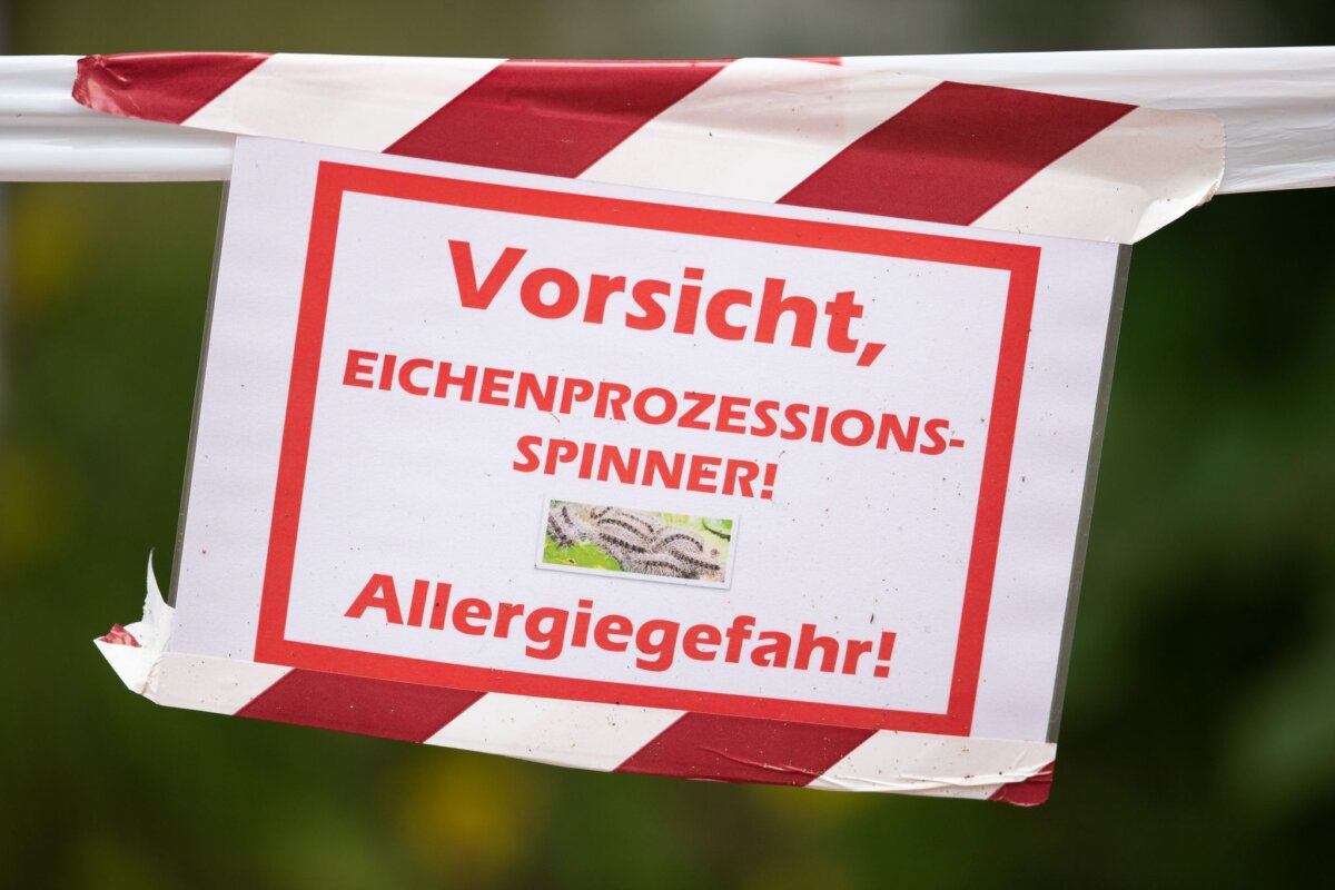 Warnung vor Eichenprozessionsspinnern Ein Schild warnt vor dem Eichenprozessionsspinner. (Symbolbild)