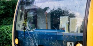 Zug prallt gegen Baum in Berlin – Ausfälle bei S-Bahn Rund 100 Fahrgäste haben in einem S-Bahn-Zug gewartet, der auf einem Baum geprallt ist.