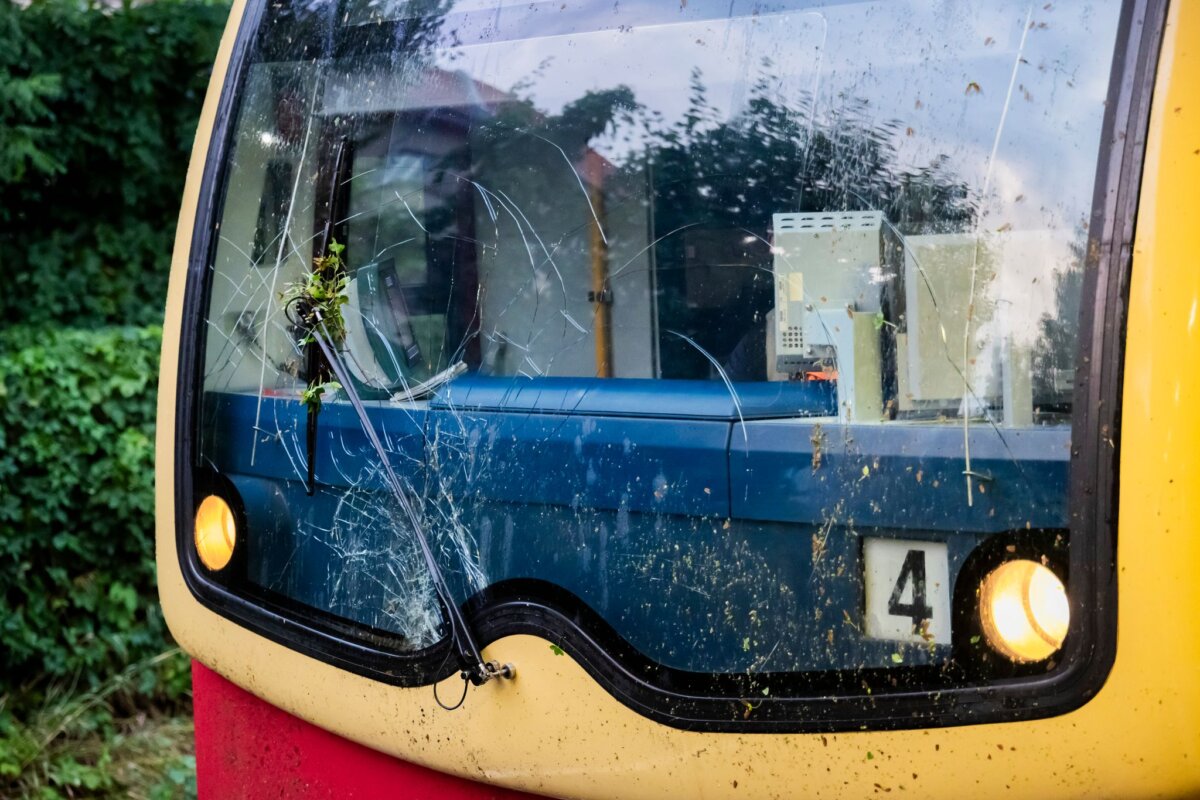 Baum stürzt in Berlin auf S-Bahn Gleise Rund 100 Fahrgäste haben in einem S-Bahn-Zug gewartet, der auf einem Baum geprallt ist.
