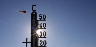 Bis zu 38 Grad: Hitze und Gewitter im Wochenverlauf Im Wochenverlauf klettern die Temperaturen in Berlin und Brandenburg auf bis zu 38 Grad. (Symbolbild)