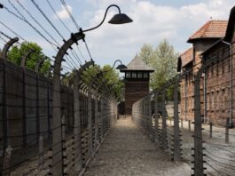KZ-Gedenkstätten warnen vor politischem Druck Für die Gedenkstätten zur Aufarbeitung des Nazi-Terrors ist es wichtig, dass sie ohne politische Vorgaben forschen und aufklären können. (Archivbild)