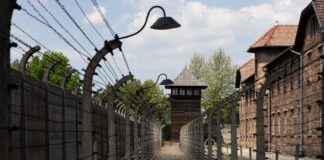 KZ-Gedenkstätten warnen vor politischem Druck Für die Gedenkstätten zur Aufarbeitung des Nazi-Terrors ist es wichtig, dass sie ohne politische Vorgaben forschen und aufklären können. (Archivbild)