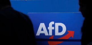 AfD-Ortsvorsteherin in Ahrensfelde – Kritik an SPD und CDU Die Wahl einer AfD-Ortsvorsteherin in Ahrensfelde-Lindenberg sorgt für Kritik. (Symbolbild)