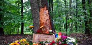 Extremismus-Berater: Keine Turboradikalisierung bei Abdul B. Der Anschlag ereignete sich mitten im Berliner Tiergarten.