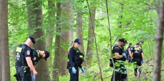 CSD-Angriff: Polizisten durchsuchen Gebiet rund um Auto Die Polizei durchsucht das Gebiet rund um den Wagen.