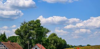 Radtouren in Brandenburg – Was das Land für Radler bietet Das Radeln auf dem Oderdeich macht vor allem mit Rückenwind Spaß. (Archivbild)