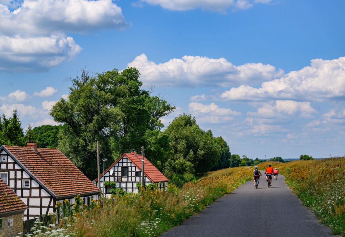 Radeln am Oderdeich Das Radeln auf dem Oderdeich macht vor allem mit Rückenwind Spaß. (Archivbild)