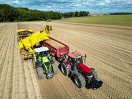 Studie warnt: EU-Agrarreform trifft Ostdeutschland stärker Große Agrarbetriebe in Ostdeutschland könnten von der geplanten EU-Agrarreform besonders betroffen sein. (Symbolbild)