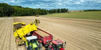 Studie warnt: EU-Agrarreform trifft Ostdeutschland stärker Große Agrarbetriebe in Ostdeutschland könnten von der geplanten EU-Agrarreform besonders betroffen sein. (Symbolbild)