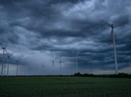 Verband: Windkraft-Zubau in Brandenburg stockt Wie entwickelt sich die Windkraft in Brandenburg?