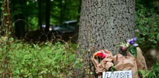 Dobrindt und Wegner wollen sich bei Pk im Tiergarten äußern Ein Schild mit der Aufschrift "Liebe siegt!" liegt vor Blumen an einem Baum, nahe einem abgesperrten Bereich des Tiergartens, wo ein Fahrzeug einen Baum gerammt hatte.