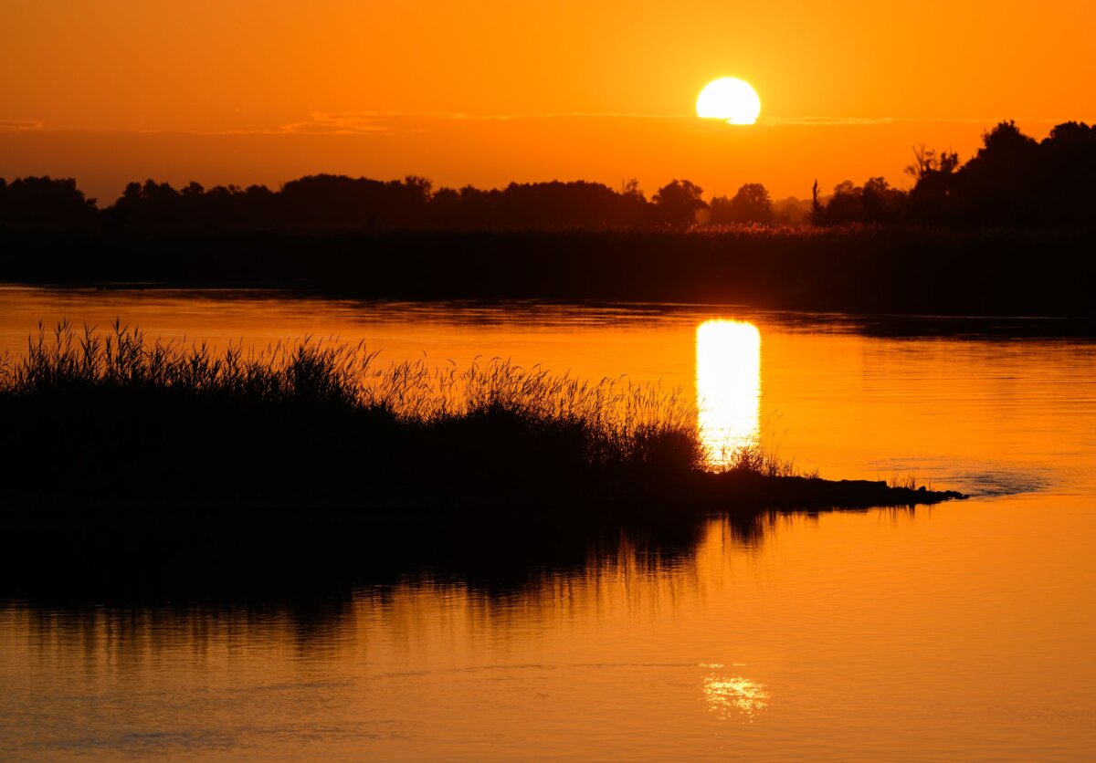 Sonnenaufgang am Fluss Oder Sonniges und trockenes Sommerwetter prägt den Wochenstart in Berlin und Brandenburg. Gleichzeitig bleibt die Waldbrandgefahr in weiten Teilen Brandenburgs hoch.
