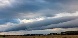 Regenwetter in Berlin und Brandenburg – Gewitter erwartet Der Deutsche Wetterdienst rechnet mit Gewittern und Schauern über Berlin und Brandenburg. (Archivbild)