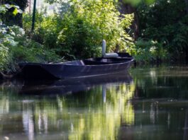 Eichenprozessionsspinner: Sperrungen im Spreewald gelockert Ein Teil der Fließe ist wieder freigegeben worden. (Archivbild)
