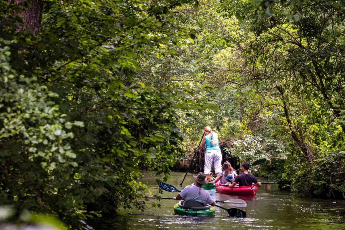 Spreewald Bis zu 33 Grad erwartet der DWD in den kommenden Tagen. (Archivbild)