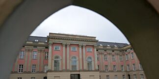 Landtag versteigert Gastgeschenke aus aller Welt Im Brandenburger Landtag sollen einige Gastgeschenke versteigert werden. (Archivbild)