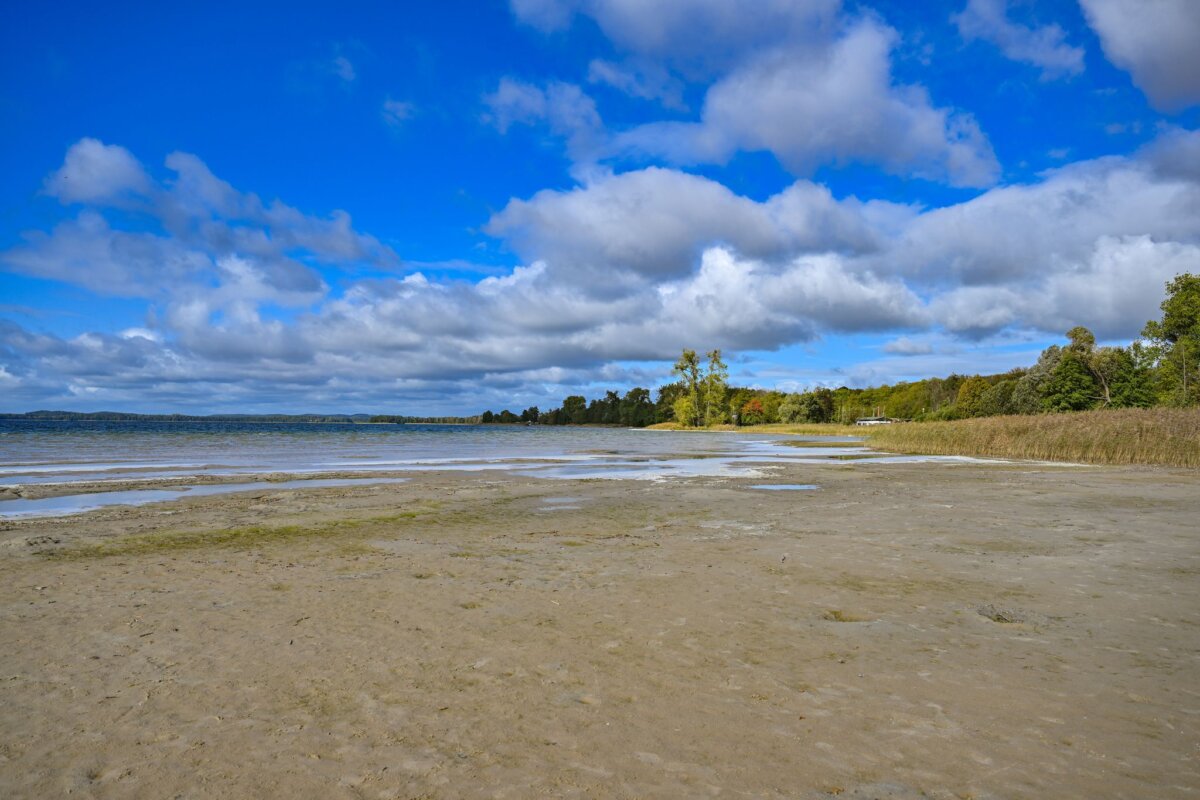Wasserverlust am Parsteiner See Am Parsteiner See hat sich ein breiter Sandstrand gebildet. (Archivbild)