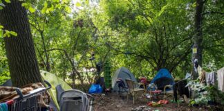Verband: Zahl der Obdachlosen in Berlin fast verzehnfacht Immer wieder bilden sich am Straßenrand oder in Parks Obdachlosencamps, wie hier im Tiergarten.