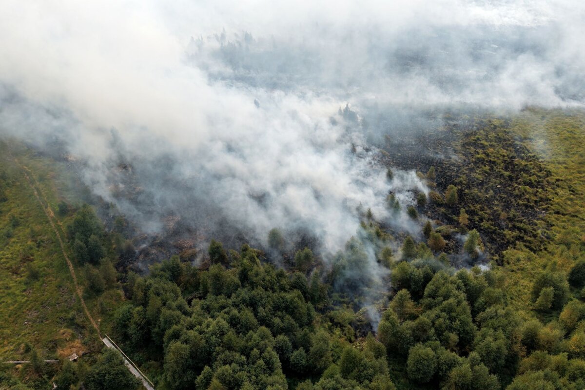 Waldbrand im Hohen Venn Rauchschwaden ziehen über den großen Waldbrand im Hohen Venn hinweg.
