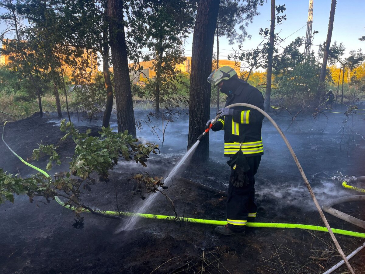 Waldbrand im Süden Brandenburgs Löscheinsatz der Feuerwehr am Dienstagabend bei einem Waldbrand in Zeischa im Süden Brandenburgs.